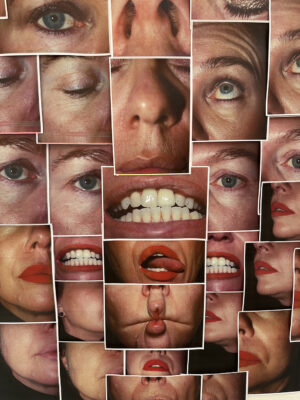 Fragmented Facial Collage